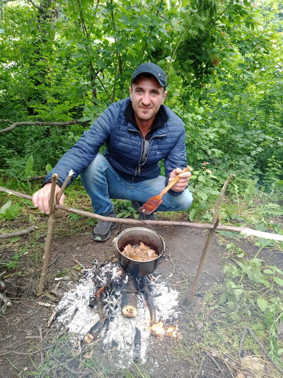  ,   Slavic, 31 ,   ,   