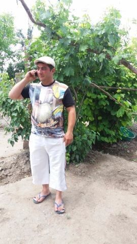  ,   ARSEN, 48 ,   