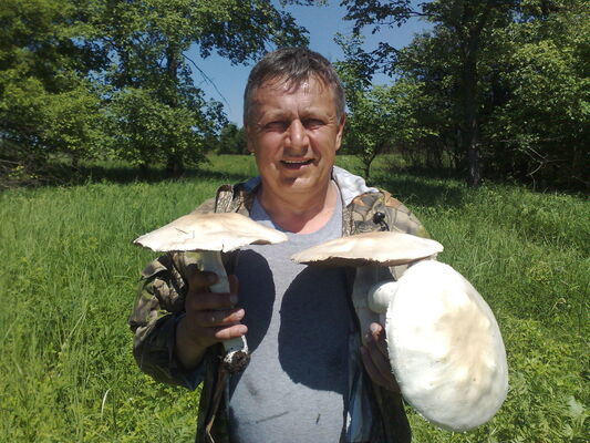  ,   , 57 ,   ,   , c 