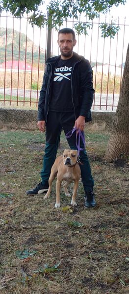  ,   Roman, 38 ,   ,   