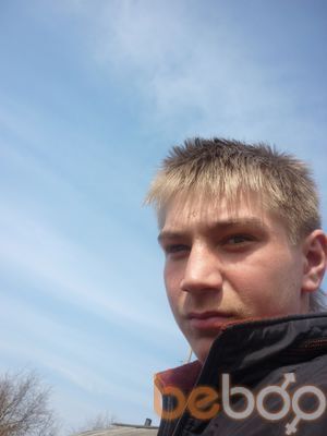  2393356  , 31 ,    