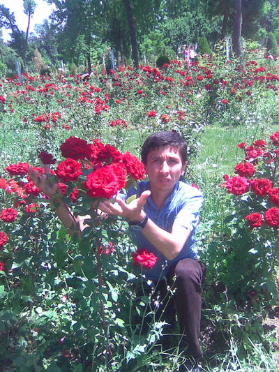  ,   Azam huligan, 34 ,     , c , 