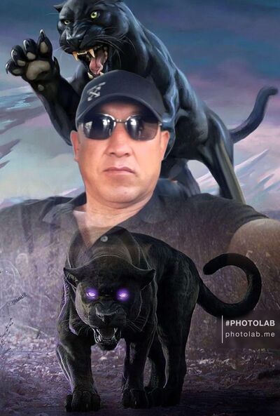   ,   , 44 ,   ,   