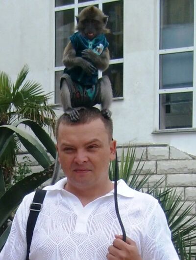  ,   , 44 ,  