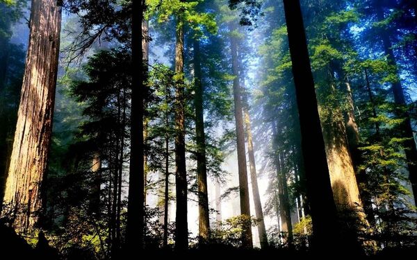  ,   Gennadij, 46 ,   ,   , c 