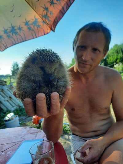  ,   Sergey, 42 ,   ,   , c , 