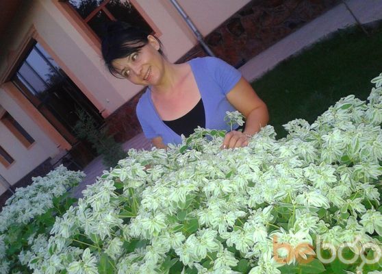  ,   Galconok, 36 ,   