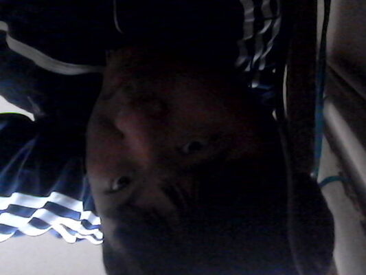  ,   Jako, 31 ,   