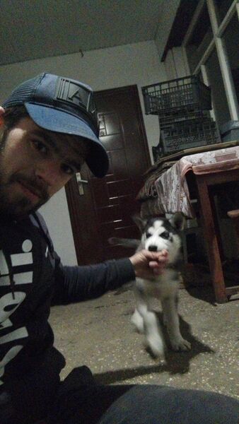  ,   Misamacura, 33 ,   ,   , c 
