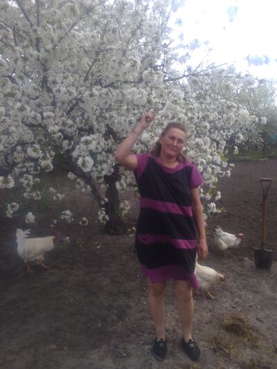  ,   , 52 ,   ,   , 