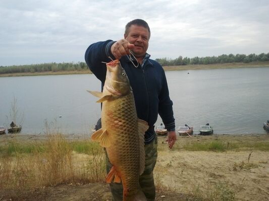  ,   Viktor, 60 ,   