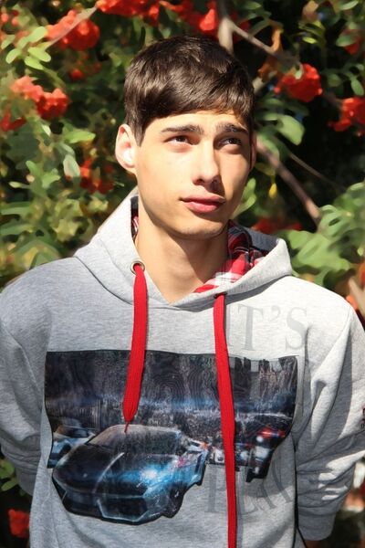  ,   , 33 ,   