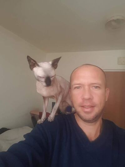  ,   , 46 ,   ,   , c 