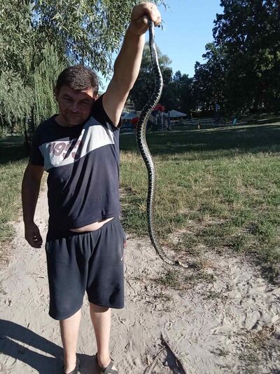  ,   , 46 ,   , 