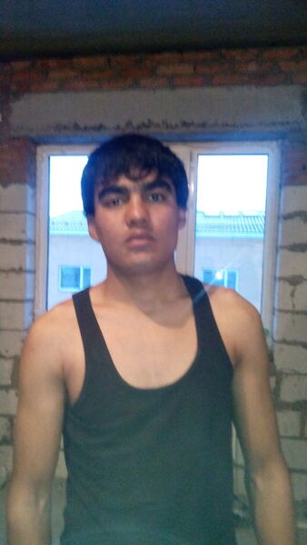  ,   SARDOR, 33 ,   ,   , c 