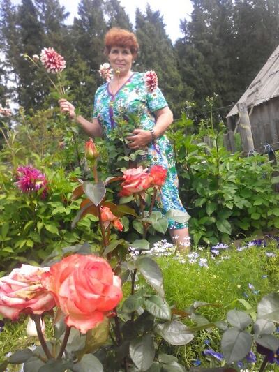 ,   Antonina, 68 ,   c 
