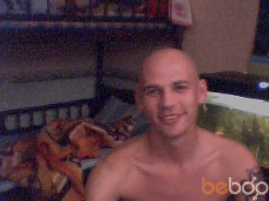  ,   Lion, 40 ,     , c 
