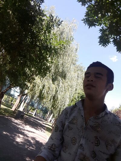  ,   Anvar, 31 ,   ,   , c , 