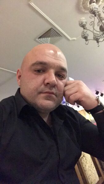  --,   SHARK, 40 ,   ,   , c , 