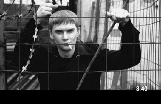  20391296  Shox, 25 ,    