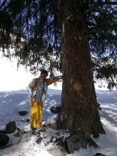  ,   Dima, 62 ,     , c 