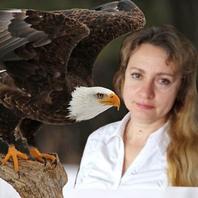 ,   , 45 ,   ,   