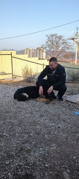  ,   Alexander, 31 ,   