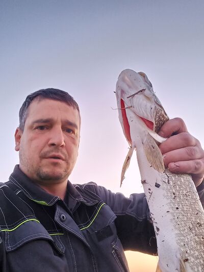  -,   , 40 ,   ,   