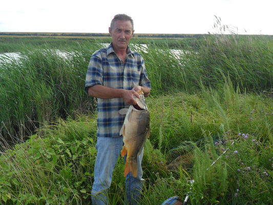  ,   , 64 ,   ,   , c 