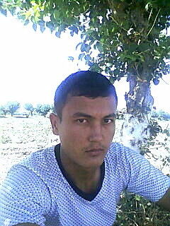  ,   Bekshox, 31 ,     , c , 
