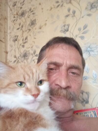  --,   , 52 ,   ,   