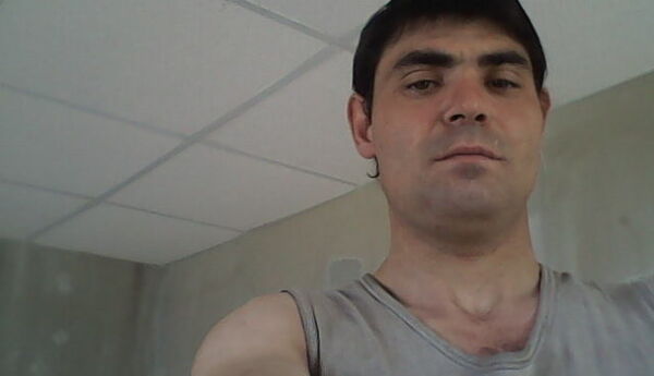   ,   , 41 ,   