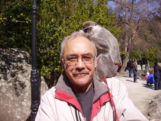  ,   , 70 ,   ,   