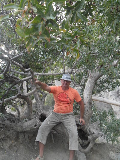  ,   , 58 ,     , c 