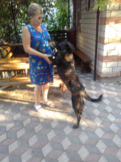  ,   , 60 ,   c 