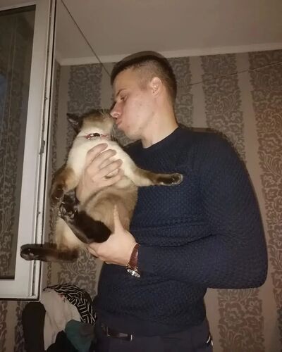  ,   , 28 ,   ,   , c , 