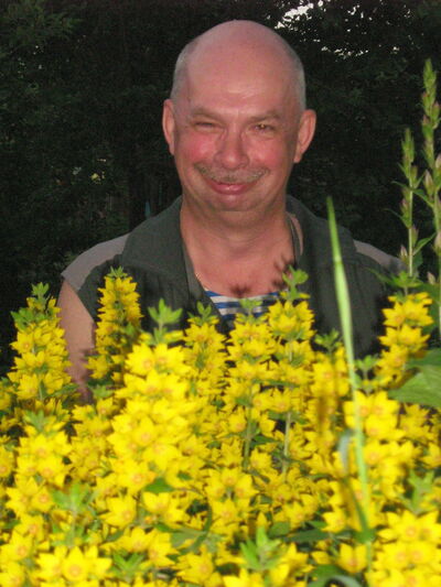  ,   , 71 ,   
