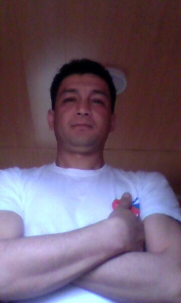  ,   , 41 ,  