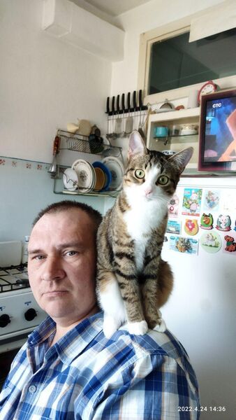  ,   , 53 ,   ,   , c 