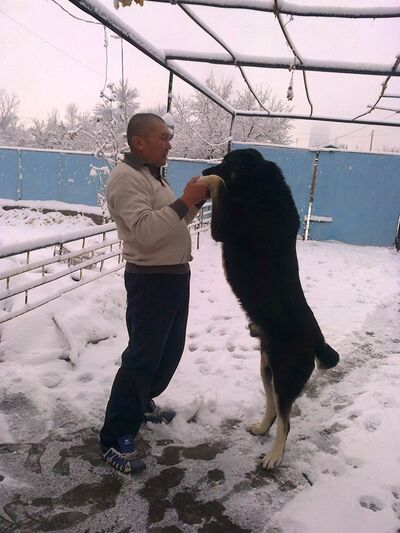  ,   , 71 ,   ,   , c 