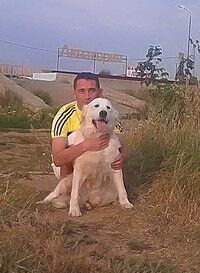 ���������� ������, ���� ������� �����, 40 ���, ������������ ��� ����� � ���������, c�������� ���������