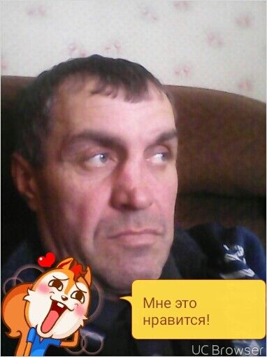  -,   , 55 ,   ,   , c 