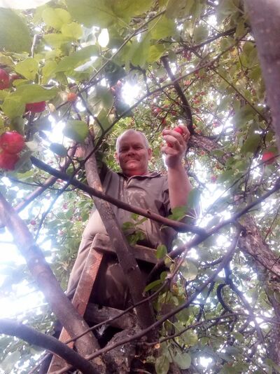  ,   , 57 ,     , c , 