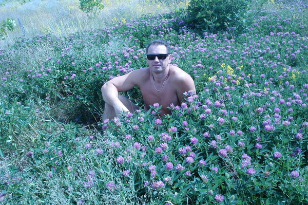  ,   , 54 ,   