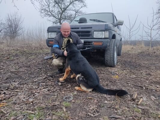  ,   Dmitry, 51 ,   ,   , c , 