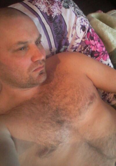  ,   Bars, 41 ,   