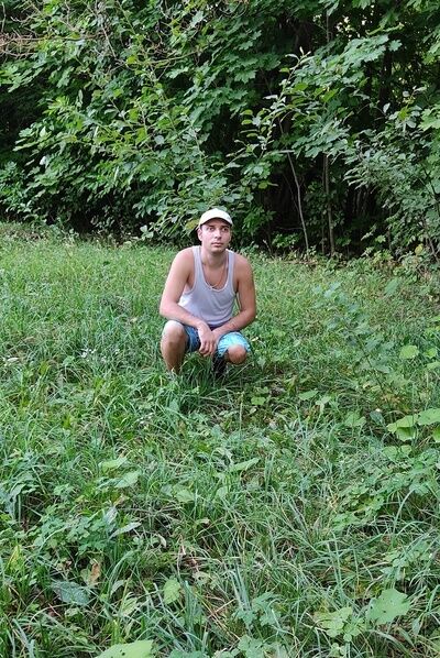 ���������� ������������, ���� ������� ������, 36 ���, ������������ ��� c�������� ���������, ���������