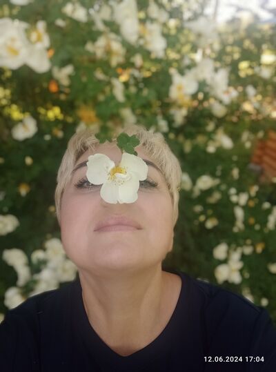  -,   , 51 ,   