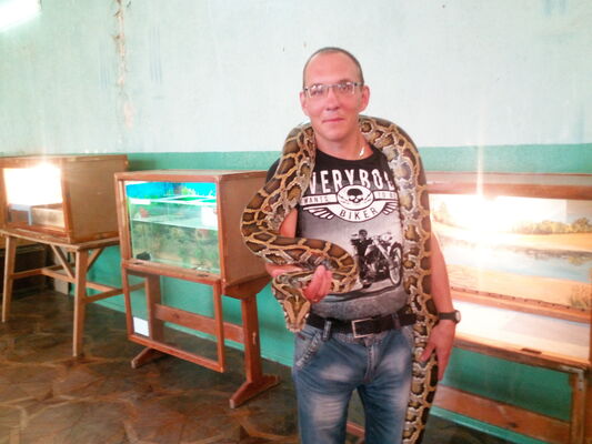  -,   , 41 ,   ,   , c , 