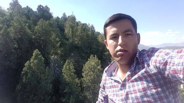  ,   Nortoy, 31 ,   ,   , c 